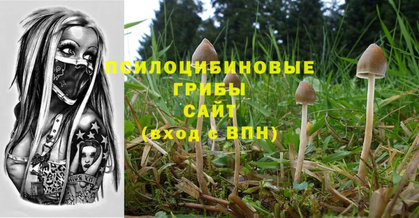 кокс Медвежьегорск