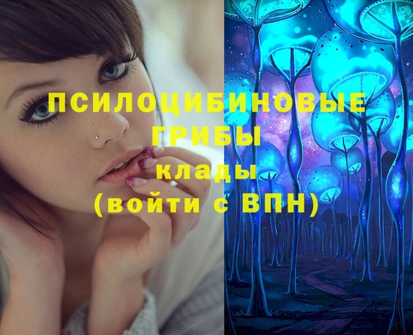 мдпв Магас