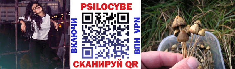 даркнет сайт  Макушино  Псилоцибиновые грибы MAGIC MUSHROOMS 